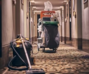 How Vacuum Cleaners Work